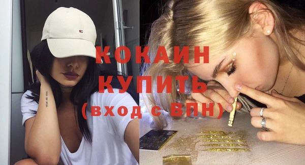 шишки Абинск