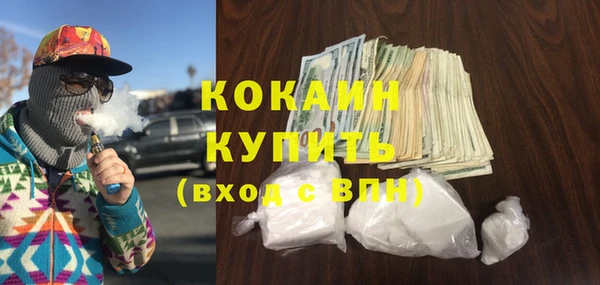 шишки Абинск