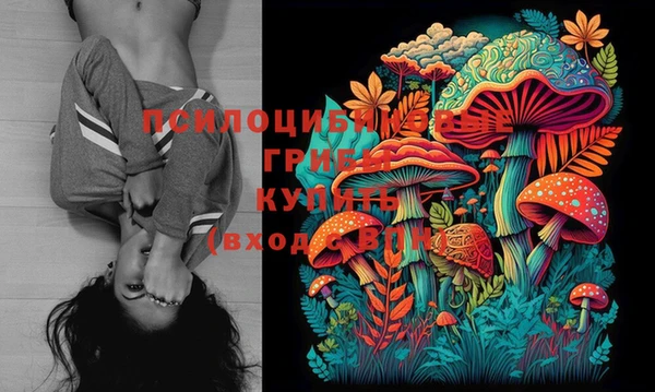 марихуана Абаза